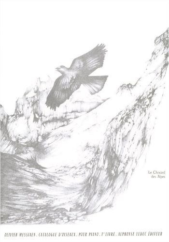 CATALOGUE D'OISEAUX 1  鳥のカタログ第1巻  